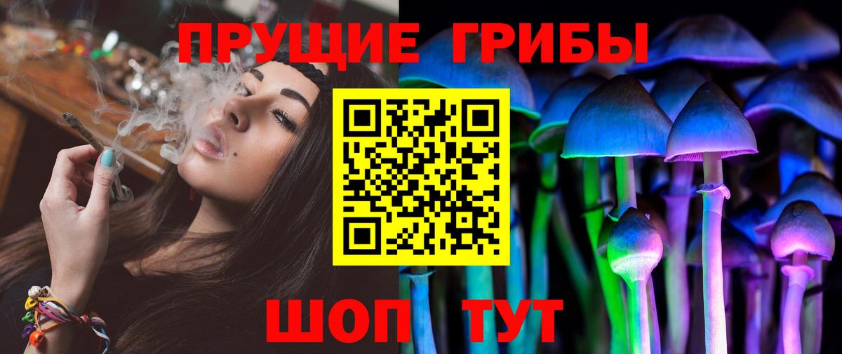 Галлюциногенные грибы Psilocybine cubensis Владимир