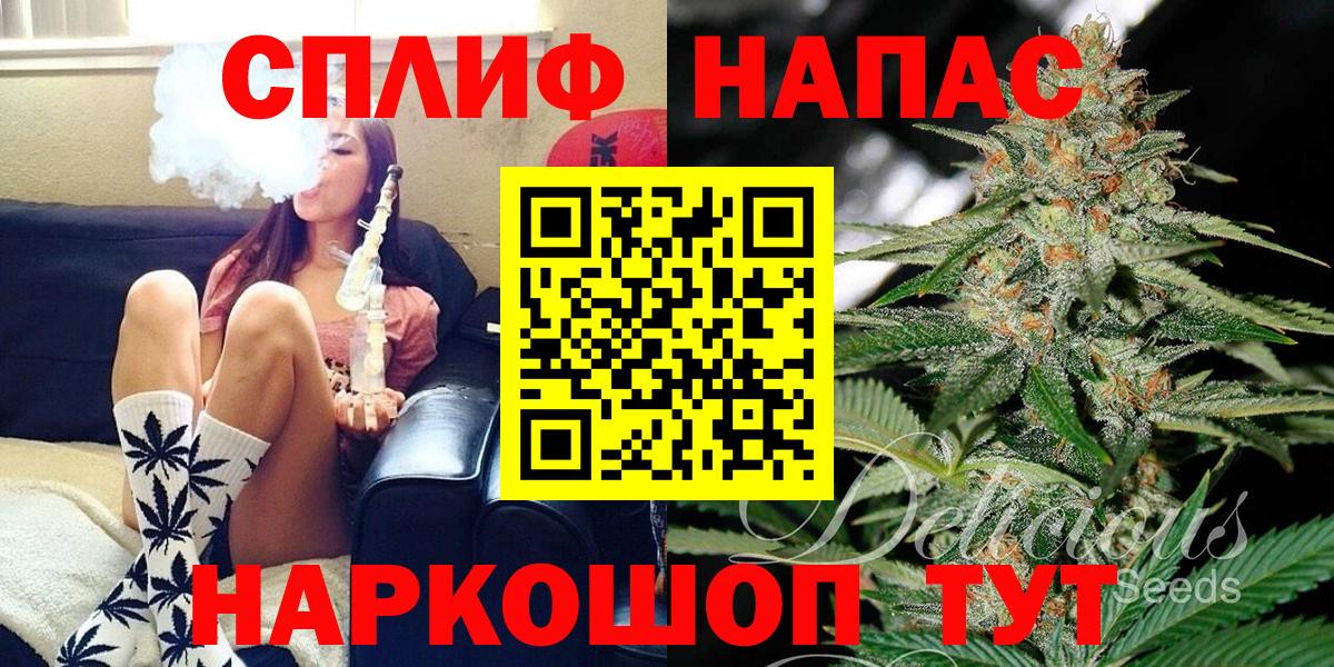 Каннабис индика Владимир